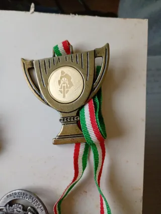 Lote Pines Moteros, Escudos y Medalla