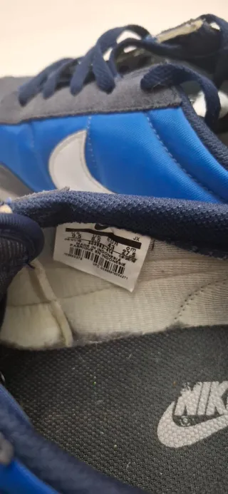 Zapatillas Nike Azules y Grises