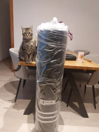 Saco de boxeo de pie