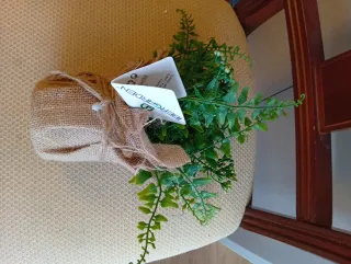 Planta Artificial Decorativa Berg Garden