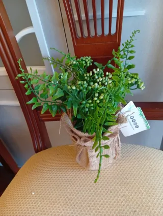 Planta Artificial Decorativa Berg Garden