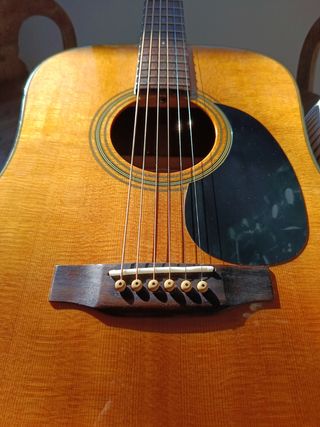 Guitarra Acústica Recording King RD-10