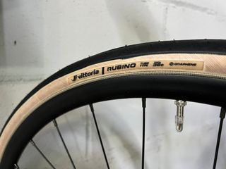 CANNONDALE SYNAPSE CARBON 4 2026