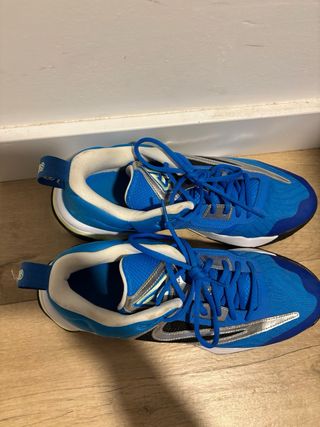 Zapatillas Nike Giannis Freak 3 Azul/Plata