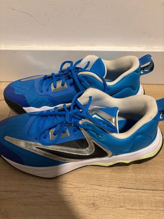 Zapatillas Nike Giannis Freak 3 Azul/Plata
