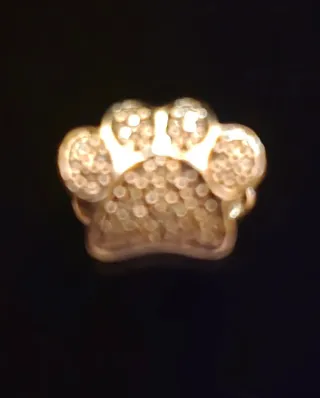 Charm Pandora Huella de Perro