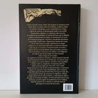 El Ángel de la Ventana de Occidente - Valdemar