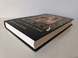 El Ángel de la Ventana de Occidente - Valdemar