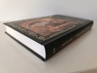 El Ángel de la Ventana de Occidente - Valdemar