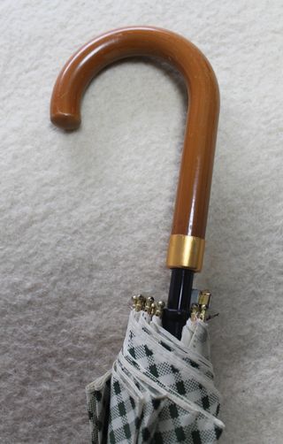 Paraguas clásico verde y blanco