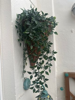 Pack 2 Macetas colgantes de mimbre