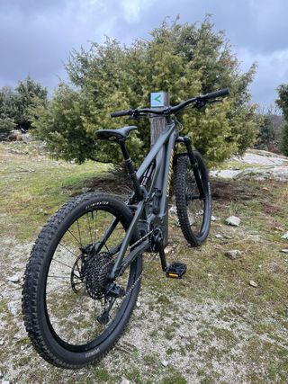 Specialized Turbo Levo E-MTB