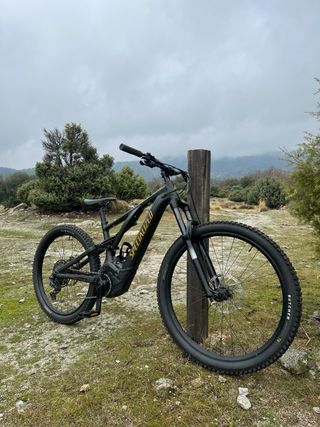 Specialized Turbo Levo E-MTB