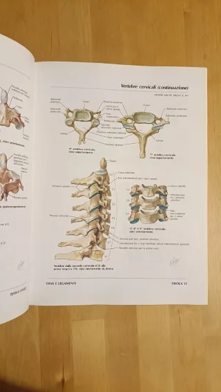 Atlante di Anatomia Umana
