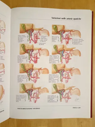 Atlante di Anatomia Umana