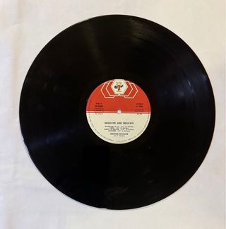 Stephen Schlaks Sensitive and Delicate LP