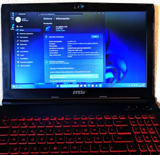 Portátil MSI GL62M 7RDX