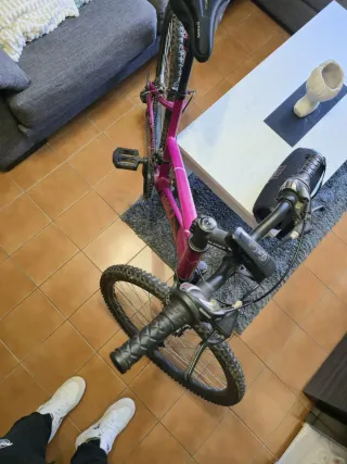 Bicicleta B-PRO Morada