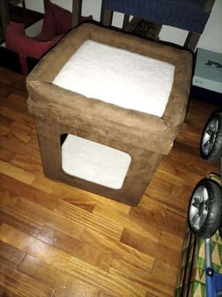 Casita gatito o perrito