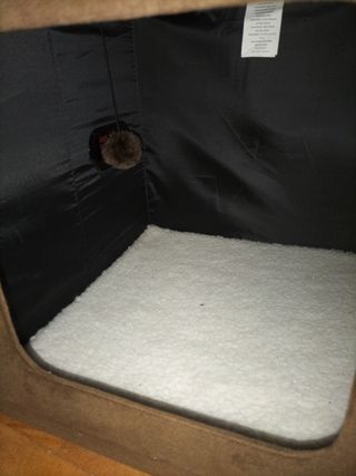 Casita gatito o perrito