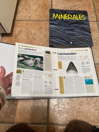 Collezione di minerali