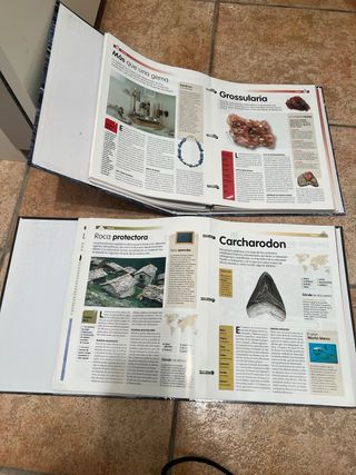 Collezione di minerali