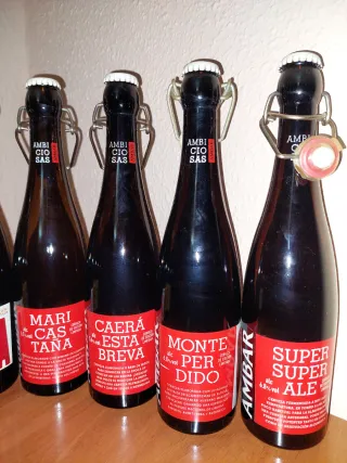 Bottiglie di birra Ambar (12 unità)