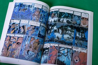 “El sortilegio del bosque de las brumas”, Bourgeon