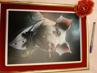 Cuadro Dalmata Rockero Rojo