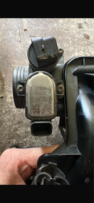 Colector Admisión 1.6 8v 106/Saxo