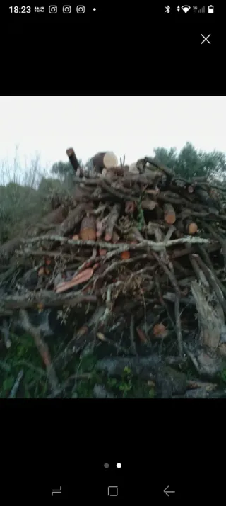 Leña de encina seca