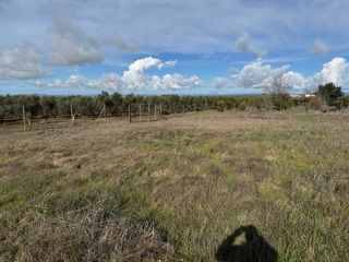 Terreno en venta en fuente carretero
