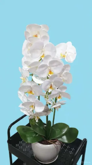 Vaso de Orquídea Artificial