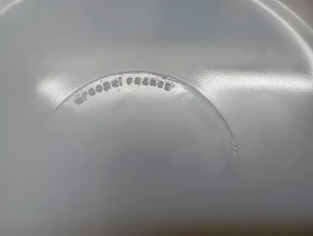 Lote Vajilla Cristal Arcopal