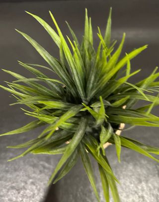 Planta artificial con macetero decorativo