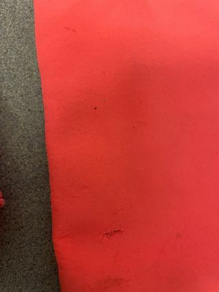 Pantalón esquí niña Protest T8