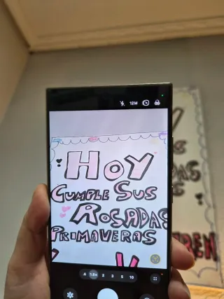 Samsung Galaxy S24 Ultra Gris 256GB