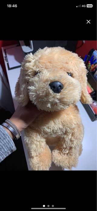 Peluche cane beige morbido