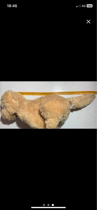 Peluche cane beige morbido