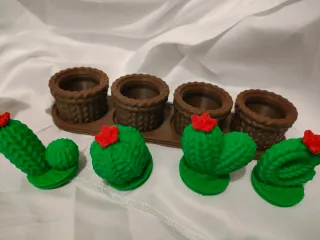 Pack 3d San Valentín: Oso y Cactus LOVE