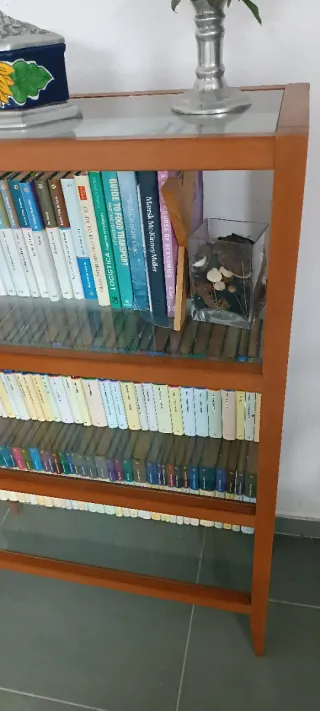 2 Estanterías Madera y Cristal+ regalo libros