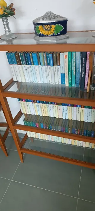 2 Estanterías Madera y Cristal+ regalo libros