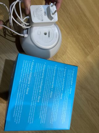 Amazon Echo Dot 4ta Gen Gris