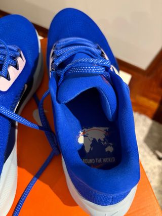 Zapatillas Nike Air Zoom Pegasus 41 Talla 44