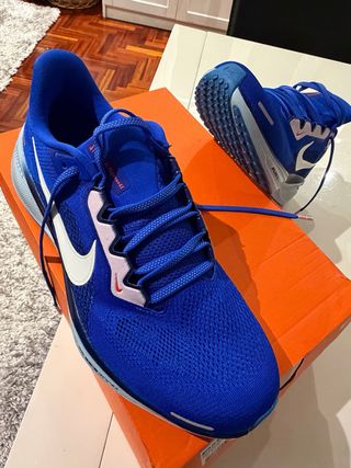 Zapatillas Nike Air Zoom Pegasus 41 Talla 44