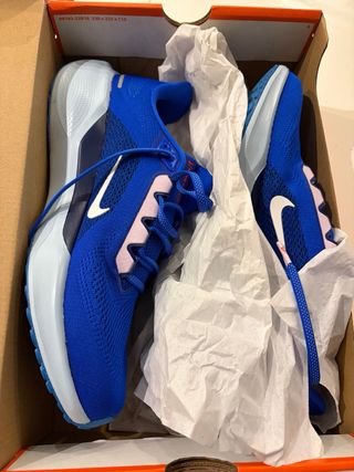 Zapatillas Nike Air Zoom Pegasus 41 Talla 44