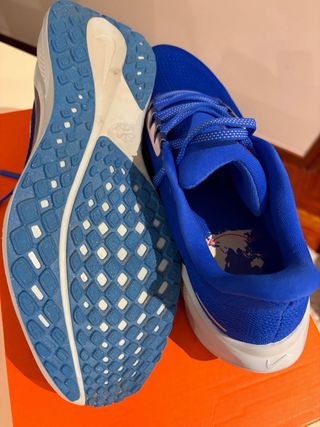 Zapatillas Nike Air Zoom Pegasus 41 Talla 44