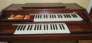 Órgano Eléctrico Siel Gamma 235