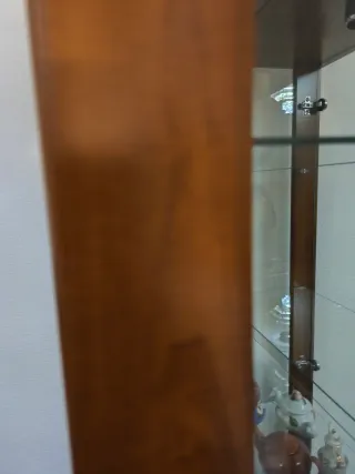 Vitrina expositora de madera y cristal