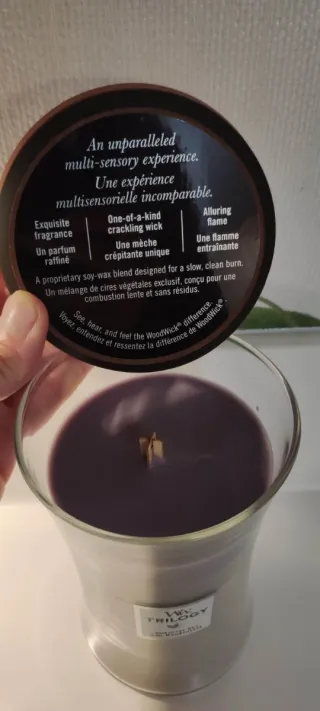 Candela Trilogy WoodWick Vetro Legno Viola